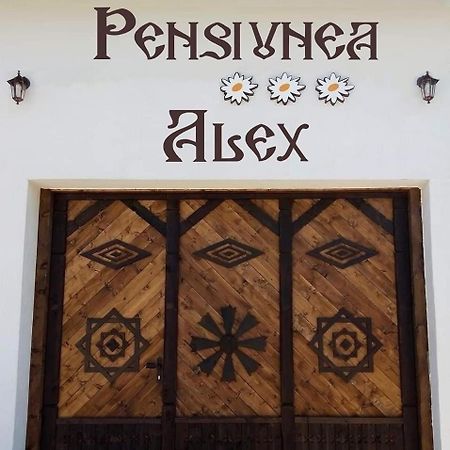 Pensiunea Alex Marga Esterno foto