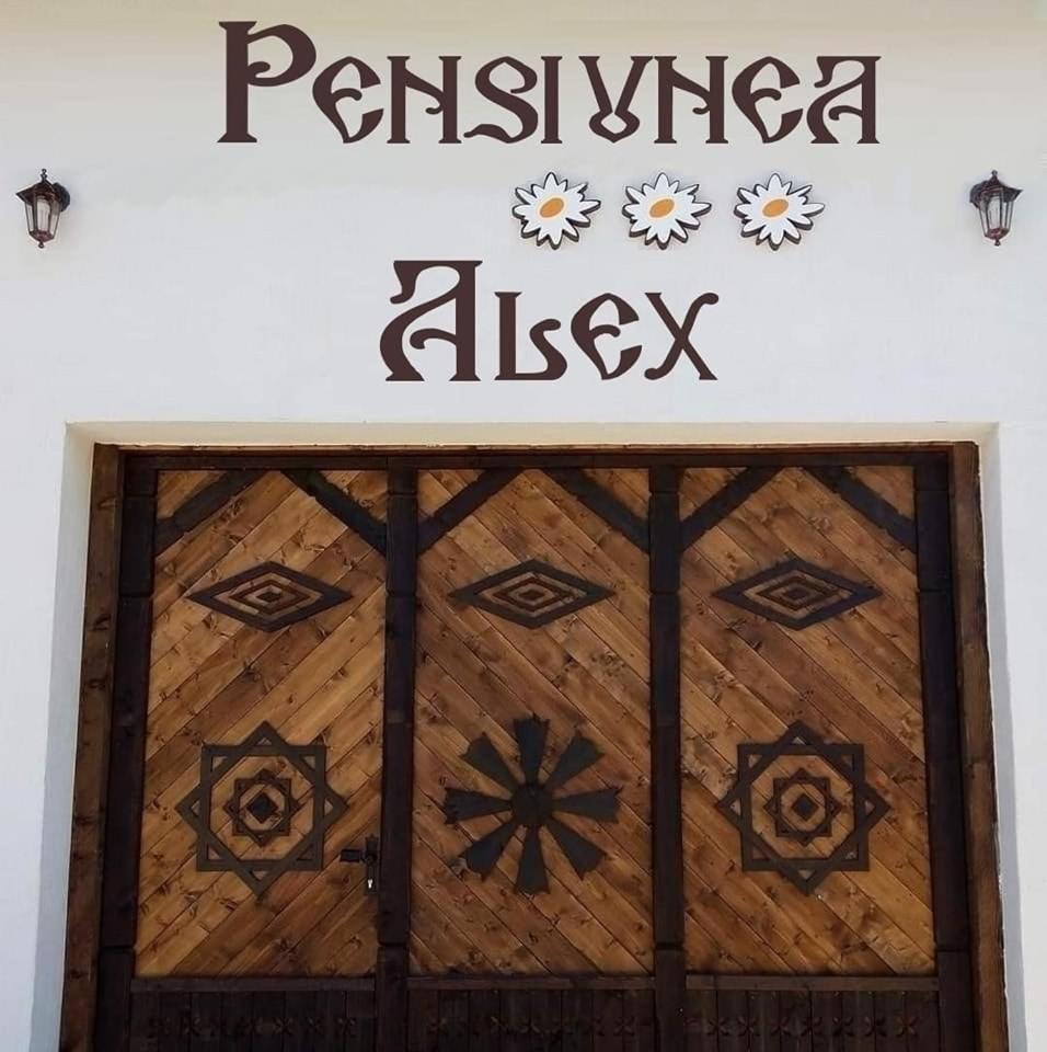 Pensiunea Alex Marga Esterno foto
